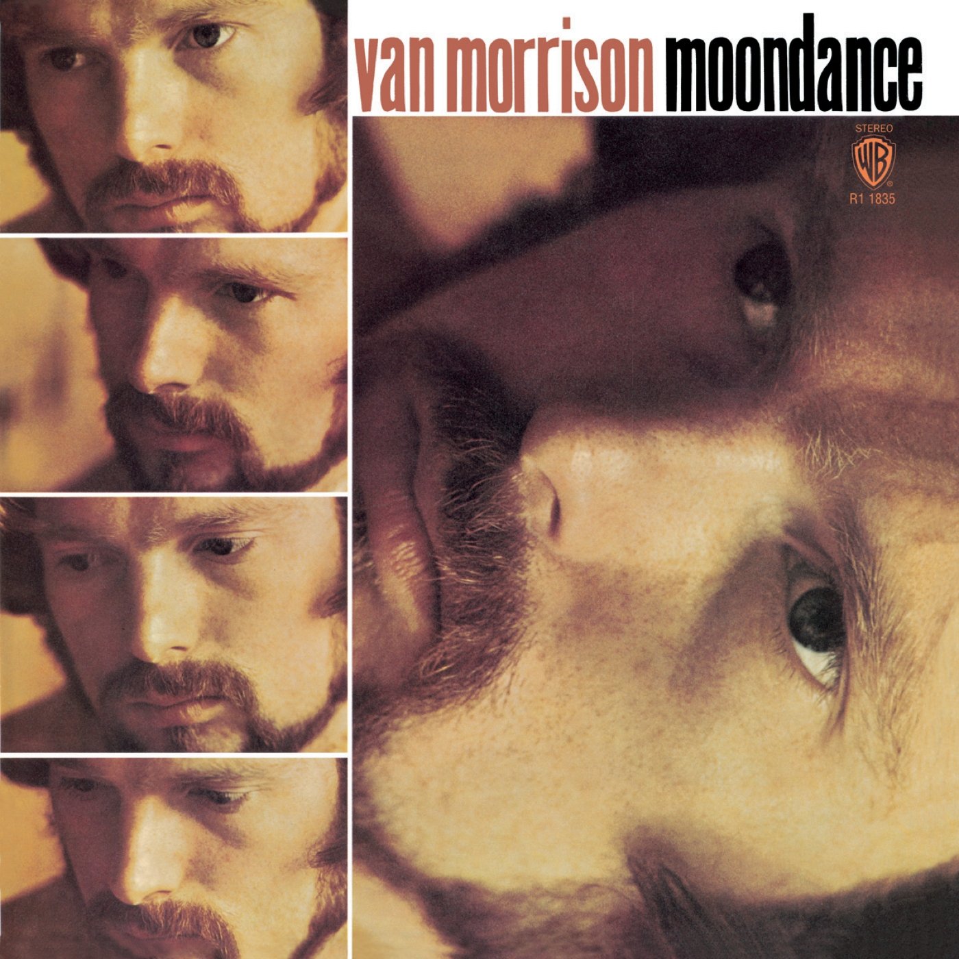 Van Morrison Moondance